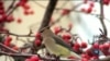 16x9 Image