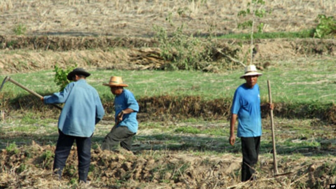 Farm workers in a field near the city of Udon Thani in Thailand's impoverished northeast, 14 May 2010
