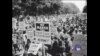 马丁路德金演讲50周年 ━ 1963华盛顿大游行追忆 