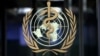 美国会审视之后 世卫组织承认中国并未及时通报新冠病毒疫情爆发 