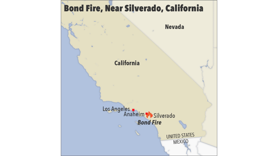 Bond fire