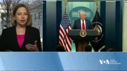 Дональд Трамп прокоментував авіакатастрофу у Вашингтоні. Відео
