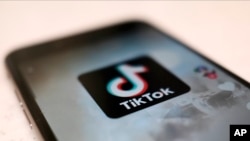 智能手机上的TikTok应用程序