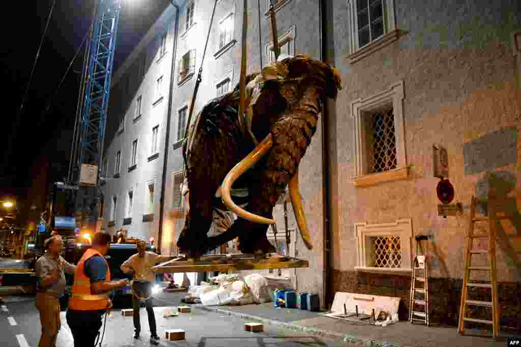 A life-sized wooden mammoth is lifted by a crane to be transported inside the courtyard of the museum "House of Nature" ahead of an exhibition called "Ice Age and Climate" in Salzburg, Austria.