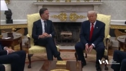 Студія Вашингтон. Сенатори США прокоментували перемовини з Росією