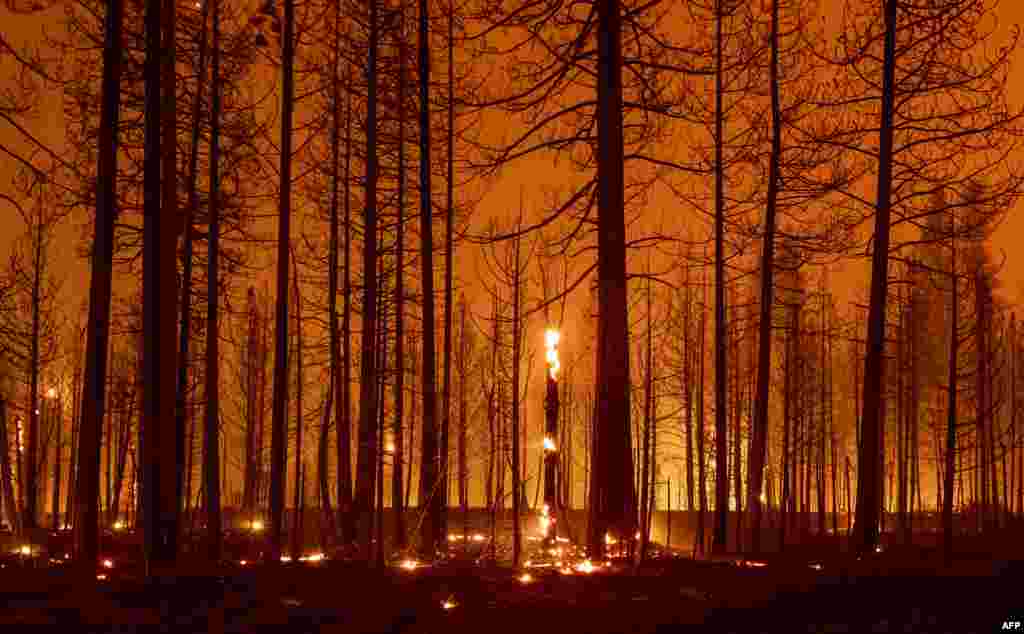 Trees smolder and burn during the Dixie Fire near Greenville, California, Aug. 3, 2021.