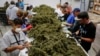 Drug, Alcohol Use Falls Among US Teens