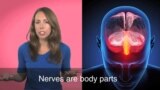 English in a Minute: To Have Nerve
